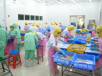 ロータスフード加工食品工場